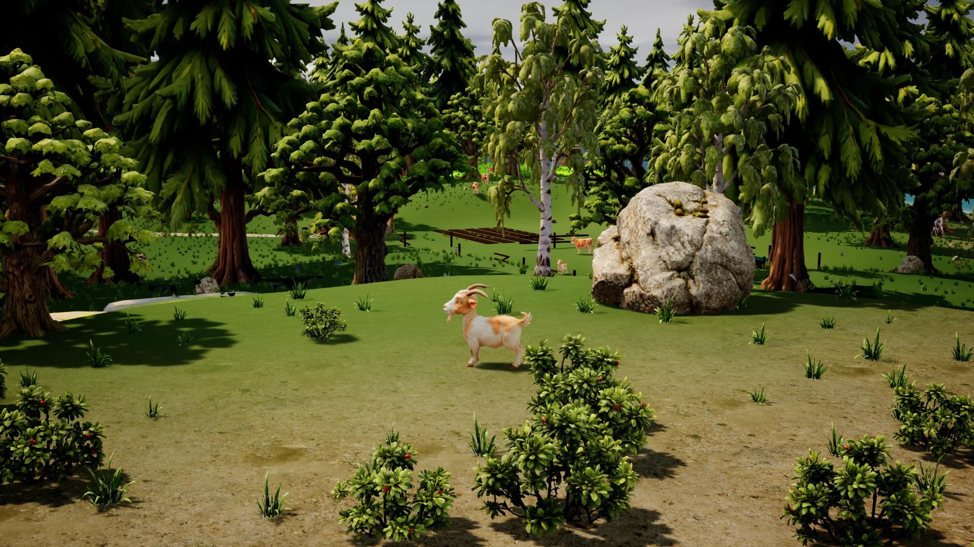 A goat standing among grass and rocks on Elsewhere's coastal cliff
